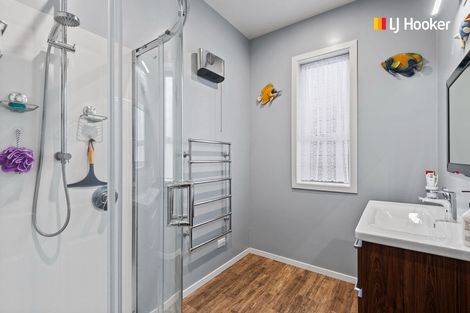 Photo of property in 538 South Road, Calton Hill, Dunedin, 9012