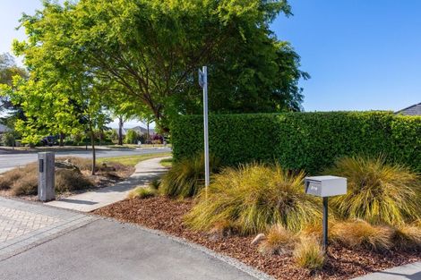 Photo of property in 215 Taylor Pass Road, Witherlea, Blenheim, 7201