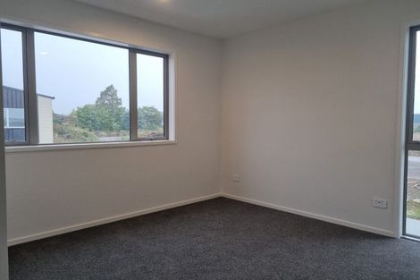 Photo of property in 10 Selkirk Lane, Hamilton Lake, Hamilton, 3204