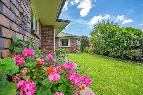 Photo of property in 38 Duke Street, Levin, 5510
