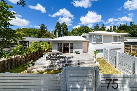 Photo of property in 75 Ruamahanga Crescent, Terrace End, Palmerston North, 4410