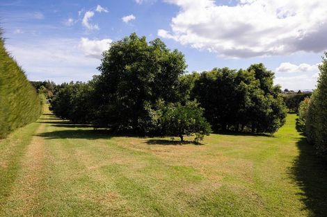 Photo of property in 313 Youngson Road, Whakamarama, Tauranga, 3179