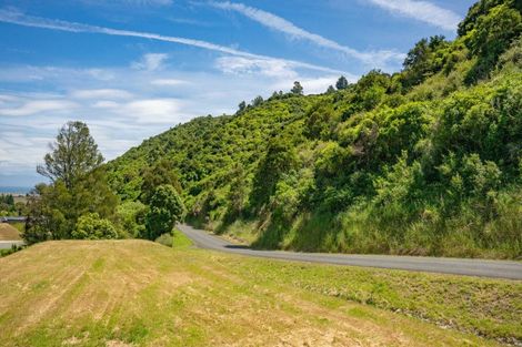 Photo of property in 60 Saddleback Road, Todds Valley, Nelson, 7071