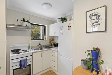 Photo of property in 24 Devon Street, Aro Valley, Wellington, 6021