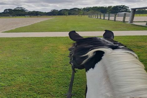 Photo of property in 242 Maraetai Rd - State Highway State Highway, Tokoroa, 3491
