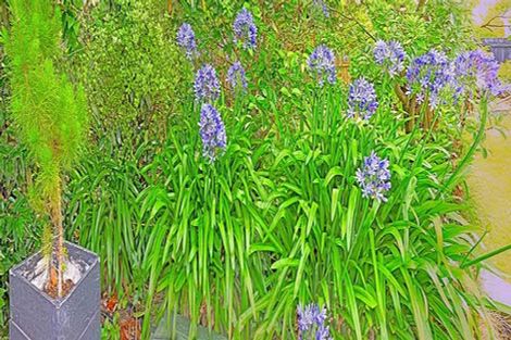 Photo of property in 45 Nicholls Street, Richmond, Christchurch, 8013