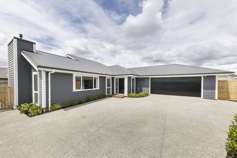 Photo of property in 19 Silicon Way, Fitzherbert, Palmerston North, 4410