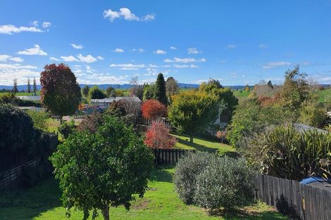 Photo of property in 1 Norrie Place, Putaruru, 3411