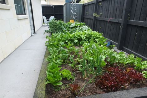 Photo of property in 56a Douglas Street, Highfield, Timaru, 7910