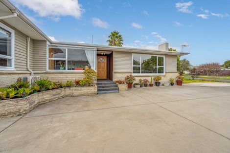 Photo of property in 36 Southwark Avenue, Tamatea, Napier, 4112