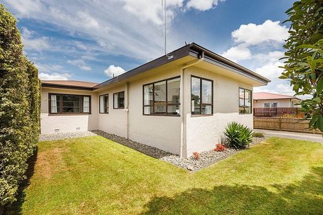 Photo of property in 478 Ruahine Street, Terrace End, Palmerston North, 4410