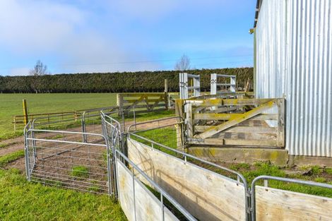 Photo of property in 1538 State Highway 2, Poukawa, Hastings, 4178