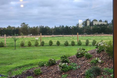 Photo of property in 741 Poyntzs Road, Eyrewell, Rangiora, 7476