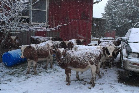 Photo of property in 3319 Whakarau Road, Motu, Te Karaka, 4092