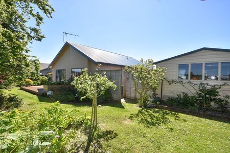 Photo of property in 117 Tyne Street, Mosgiel, 9024