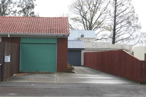 Photo of property in 39b Fifth Avenue, Enderley, Hamilton, 3214