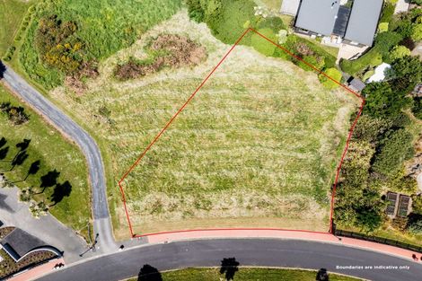 Photo of property in 13 Highgrove, Saint Clair, Dunedin, 9012