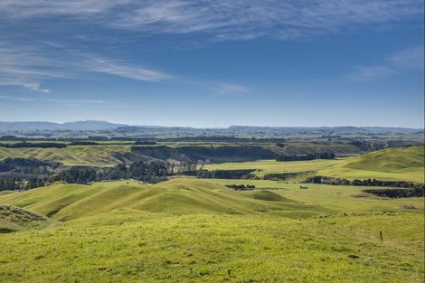 Photo of property in 1233 Kereru Road, Maraekakaho, Hastings, 4171