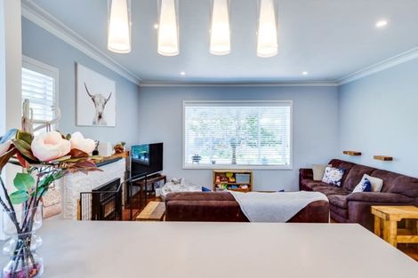 Photo of property in 40 Reynolds Road, Havelock North, 4130