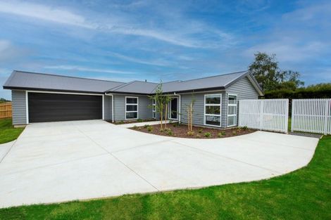 Photo of property in 6 Magnolia Place, Levin, 5510