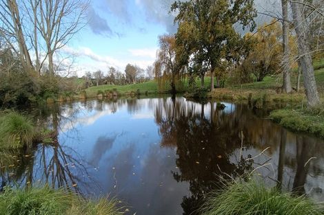 Photo of property in 76b Scott Road, Morrinsville, 3372