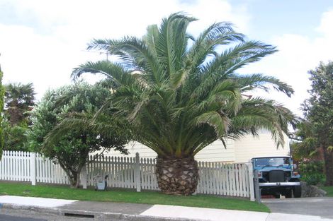 Photo of property in 44 Kandy Crescent, Ngaio, Wellington, 6035