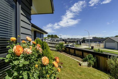 Photo of property in 10 Ruba Way, Ohauiti, Tauranga, 3112