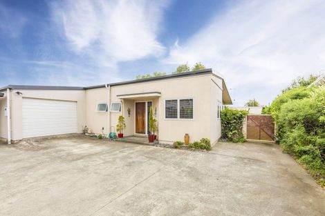 Photo of property in 13a Morse Street, Marewa, Napier, 4110