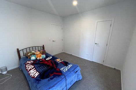 Photo of property in 29 Pipi Place, Levin, 5510