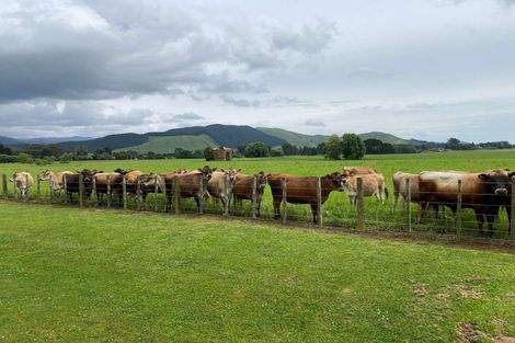 Photo of property in 9 Engles Road, Shannon, 4821