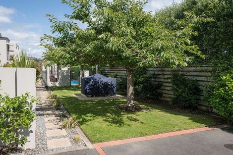 Photo of property in 19/39 Trafalgar Street, The Wood, Nelson, 7010