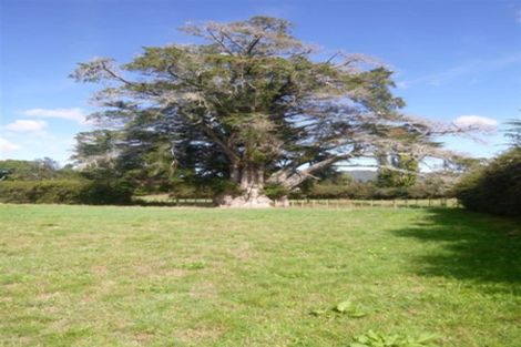 Photo of property in 99 Franklin Road, Freemans Bay, Auckland, 1011