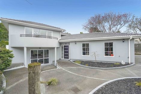 Photo of property in 14 Riverview Terrace, Fairfield, Hamilton, 3214