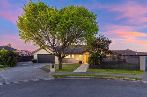 Photo of property in 17 Puketea Place, Redwoodtown, Blenheim, 7201