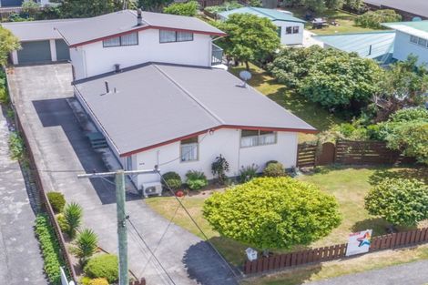 Photo of property in 125 Tiro Tiro Road, Levin, 5510
