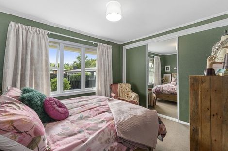 Photo of property in 20 Donny Avenue, Chartwell, Hamilton, 3210