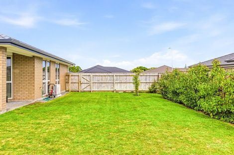 Photo of property in 63 Tawhero Street, Gonville, Whanganui, 4501
