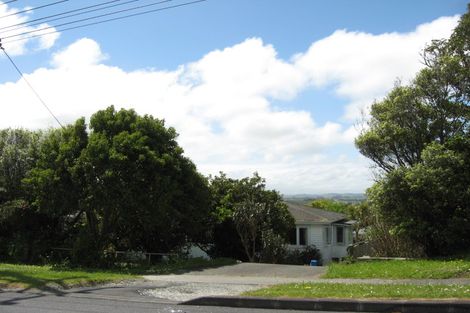 Photo of property in 44 Port Albert Road, Wellsford, 0900