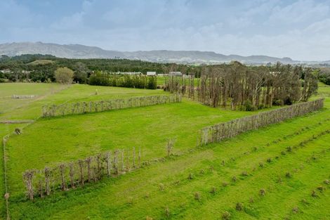 Photo of property in 30b Thompsons Track, Aongatete, 3178