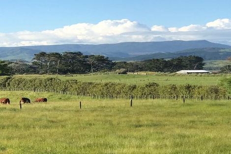 Photo of property in 56 Scottys Camp Road, Parore, Dargaville, 0373