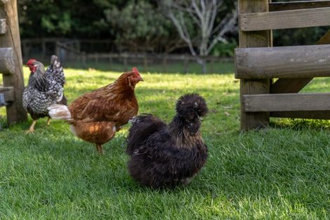 Photo of property in 81 Taylor Road, Waimauku, 0882