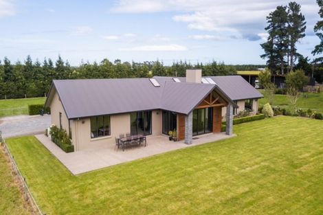 Photo of property in 232 Crow Road, Thomsons Crossing, Winton, 9781