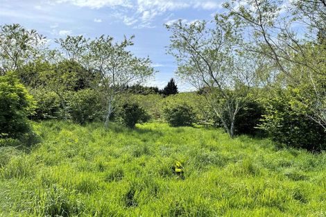 Photo of property in 25 Newport Street, Milton, 9220