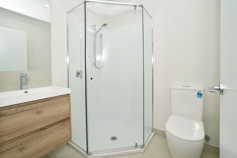 Photo of property in 1b Casey Avenue, Claudelands, Hamilton, 3214