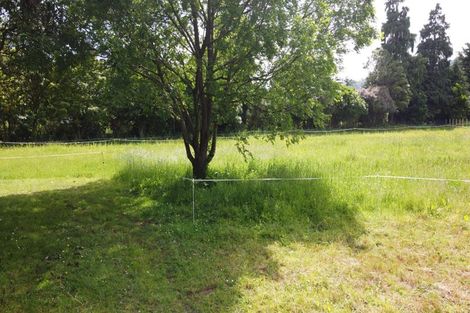 Photo of property in 424 Tararua Road, Levin, 5571