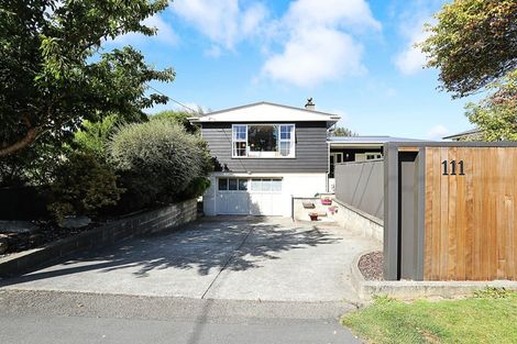 Photo of property in 111 Bainfield Road, Waikiwi, Invercargill, 9810