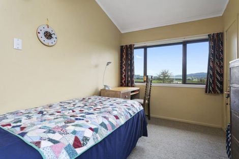 Photo of property in 2879 Arapuni Road, Pukeatua, 3880