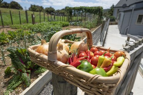 Photo of property in 62 Waiomu Valley Road, Waiomu, Thames, 3575