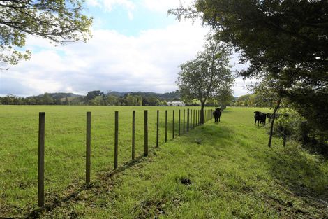 Photo of property in 28 Kaipara Flats Road, Dome Forest, Warkworth, 0981