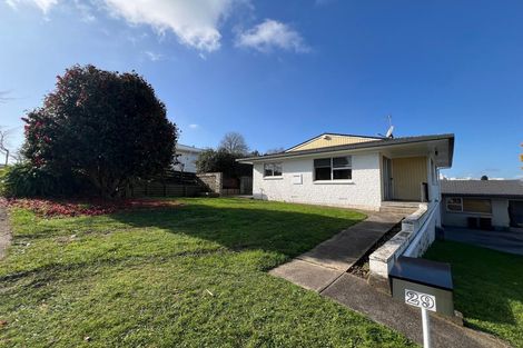 Photo of property in 29 Alison Street, Hamilton Lake, Hamilton, 3204